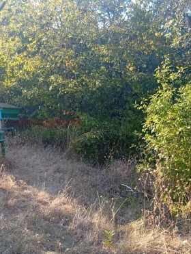 ������� ������ | Imot.bg � ����� ������ 4