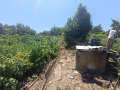 Продава КЪЩА, с. Дъскот, област Велико Търново, снимка 11