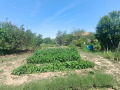 Продава КЪЩА, с. Дъскот, област Велико Търново, снимка 9