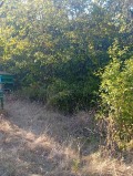 Продава ПАРЦЕЛ, с. Момин сбор, област Велико Търново, снимка 4