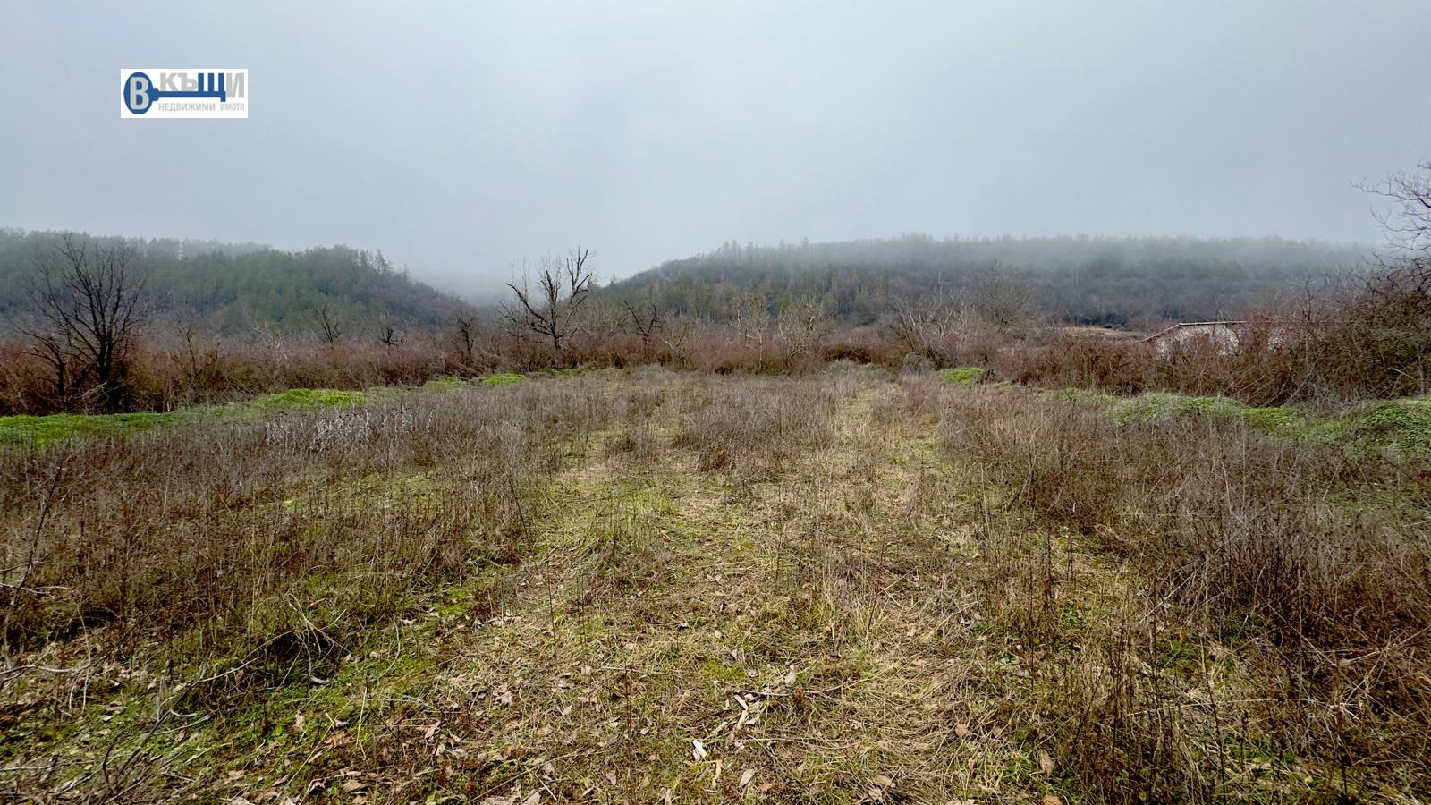 ������� ������ | Imot.bg � ����������� 3