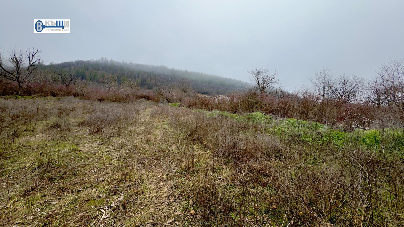 ������� ������ | Imot.bg � ����������� 7