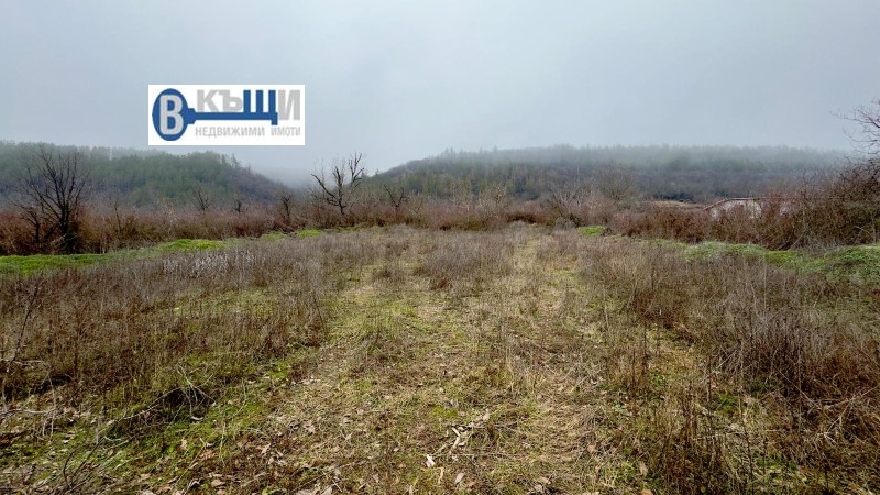 Продава ПАРЦЕЛ, гр. Дебелец, област Велико Търново, снимка 3 - Парцели - 53043431