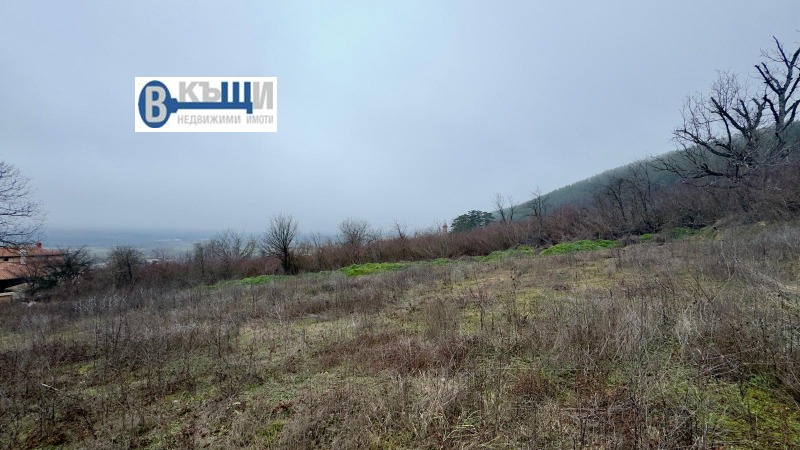 Продава ПАРЦЕЛ, гр. Дебелец, област Велико Търново, снимка 6 - Парцели - 53043431