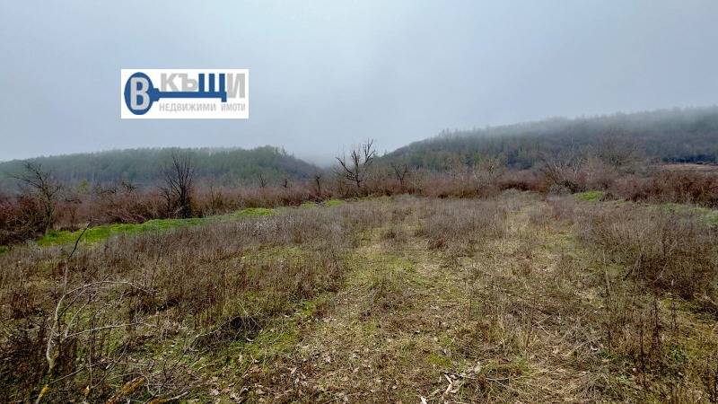 Продава ПАРЦЕЛ, гр. Дебелец, област Велико Търново, снимка 2 - Парцели - 53043431