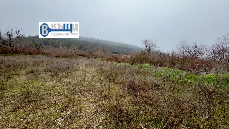 Продава ПАРЦЕЛ, гр. Дебелец, област Велико Търново, снимка 7 - Парцели - 53043431