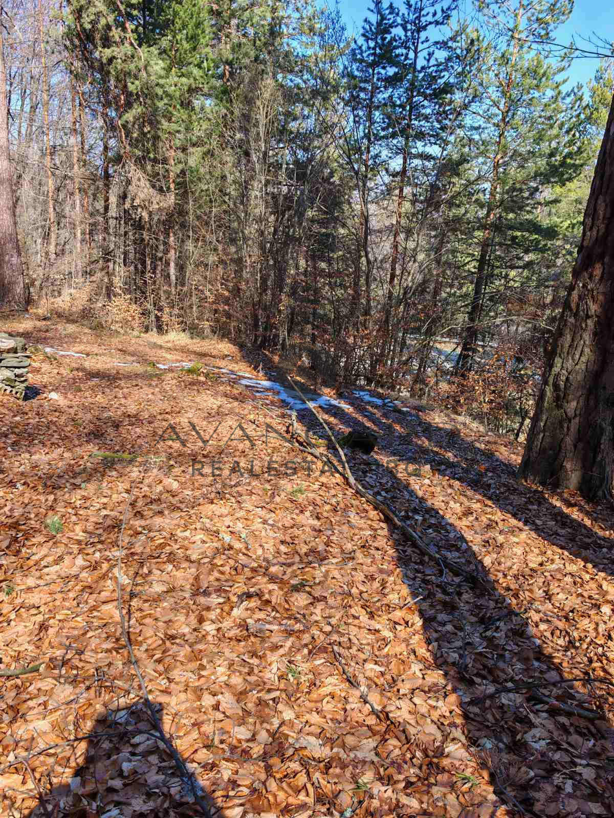 Продава ПАРЦЕЛ, с. Дедево, област Пловдив, снимка 2 - Парцели - 53811758