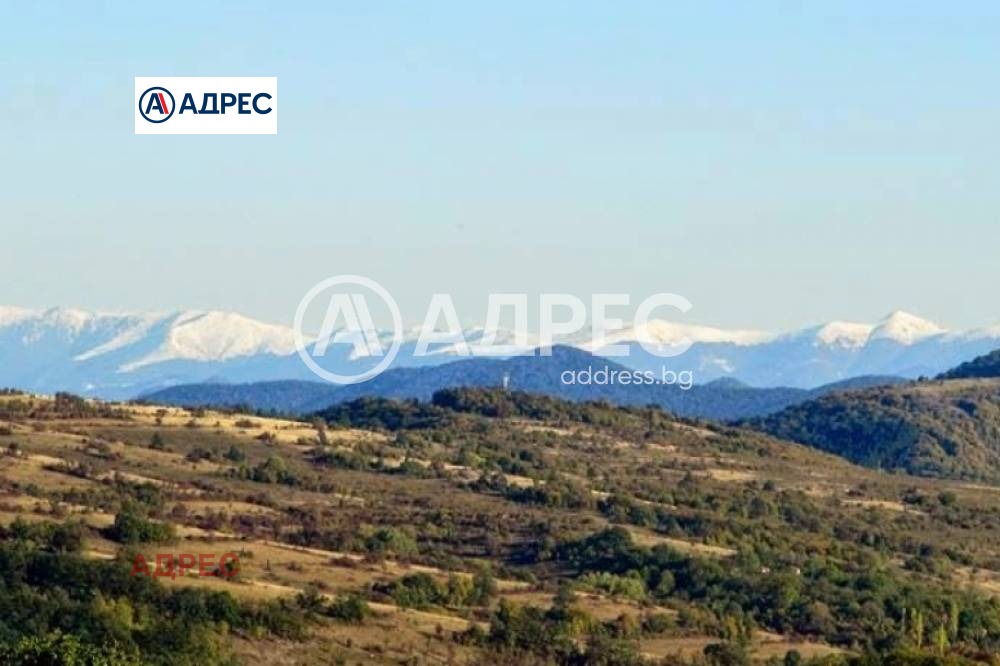 Продава ХОТЕЛ, с. Типченица, област Враца, снимка 17 - Хотели - 54227709