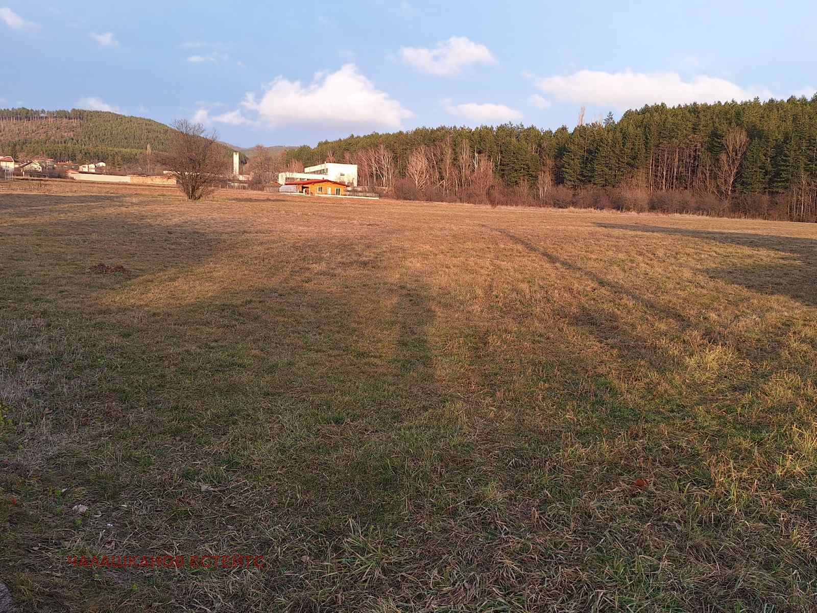 Продава ПАРЦЕЛ, гр. София, с. Локорско, снимка 2 - Парцели - 54355747