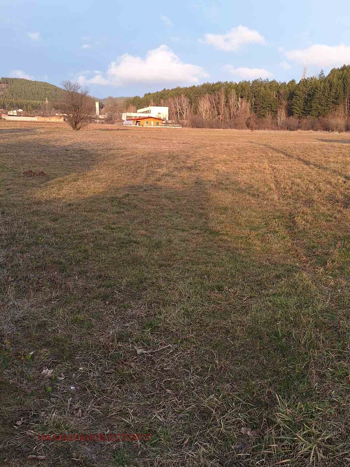 Продава ПАРЦЕЛ, гр. София, с. Локорско, снимка 3 - Парцели - 54355747