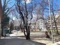 Продава КЪЩА, град Варна, ВИНС-Червен площад • 495000 € / 968135.85 лв. • 56672972 15