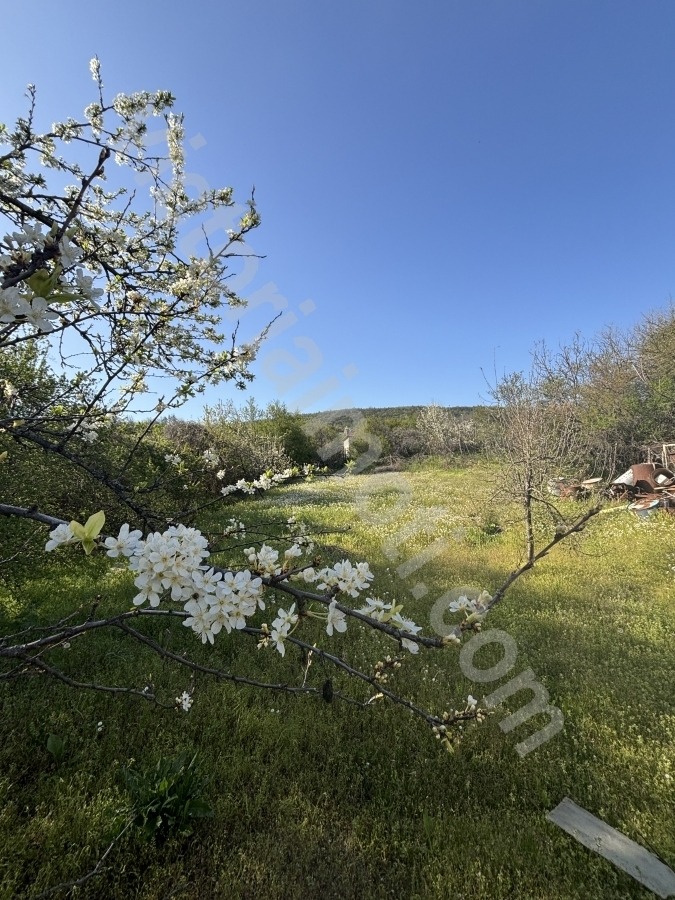 ������� ���� | Imot.bg � ����������� 13