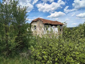 Hus Zemen, region Pernik 6
