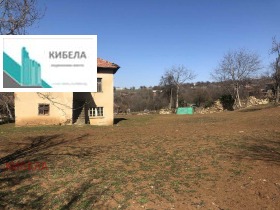 ����� ������� ����,��. ��������, ������ �������