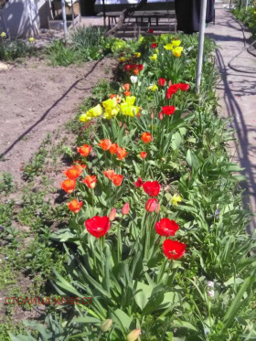 ������� ���� | Imot.bg � ����� ������ 5