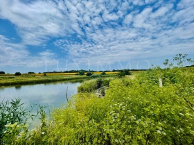 ������� ���� | Imot.bg � ����� ������ 8