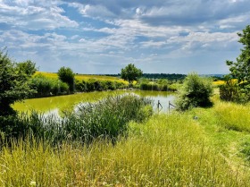 ������� ���� | Imot.bg � ����� ������ 7