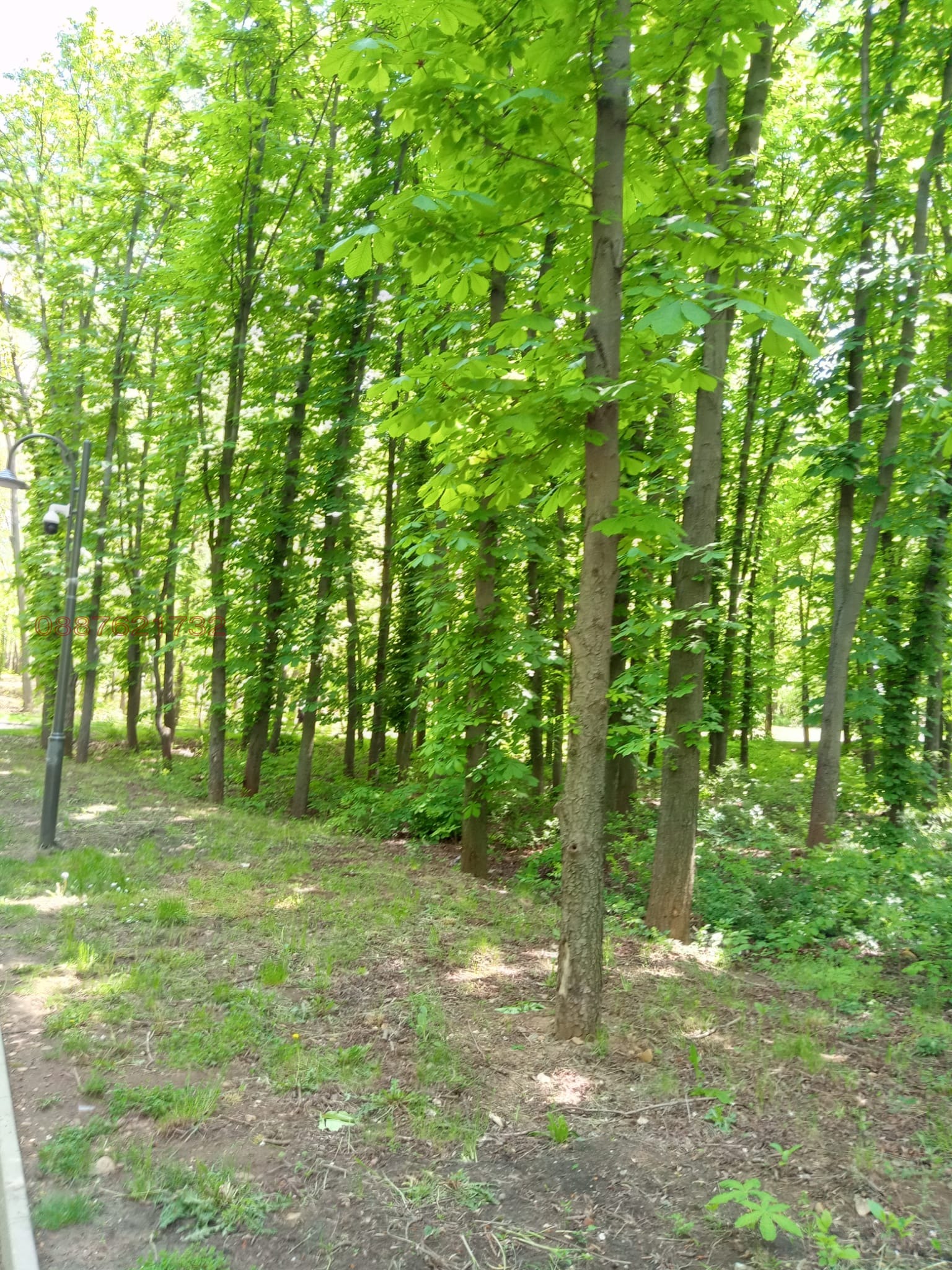 Продава ПАРЦЕЛ, гр. София, Княжево, снимка 8 - Парцели - 54486742