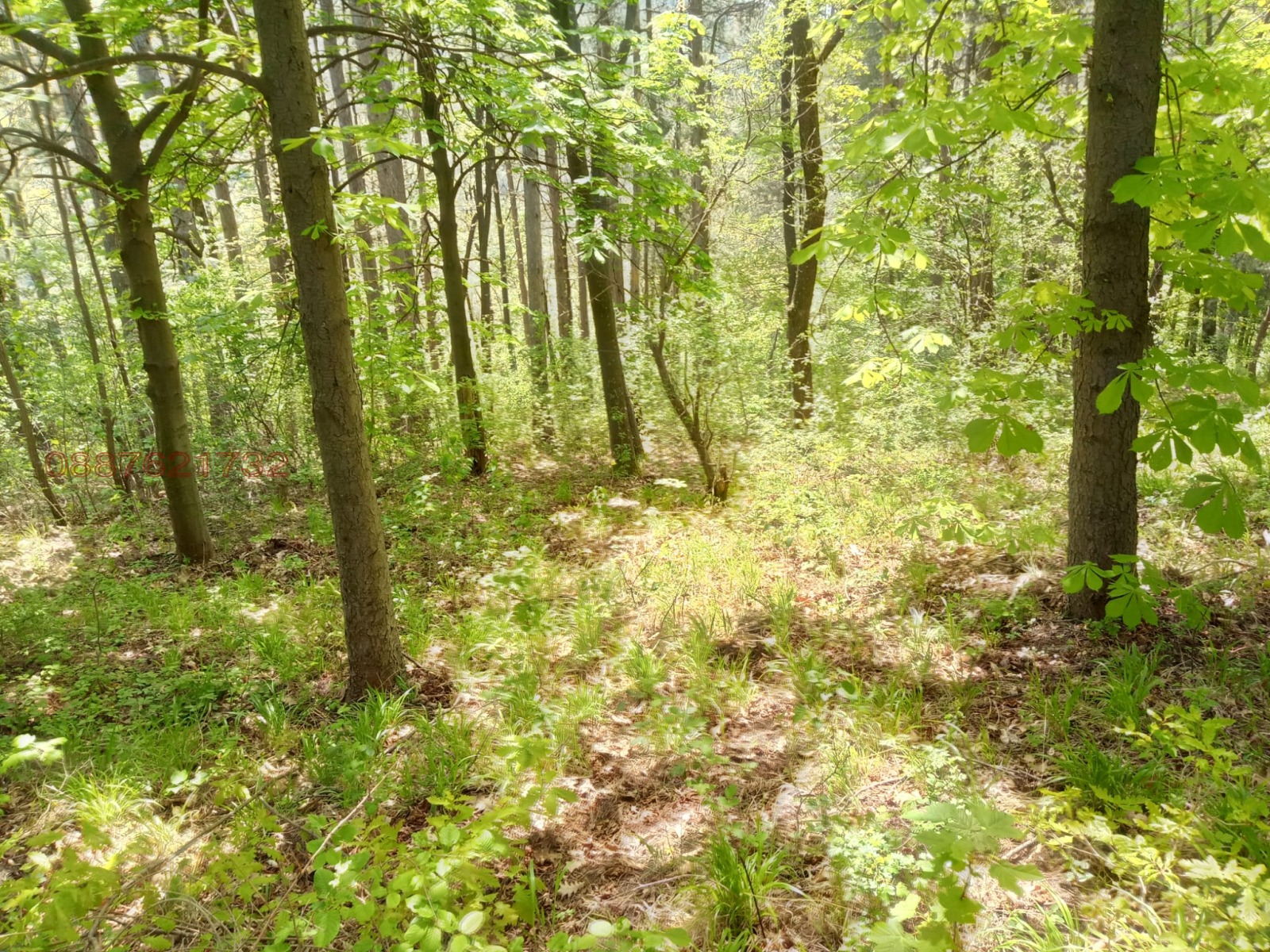 Продава ПАРЦЕЛ, гр. София, Княжево, снимка 2 - Парцели - 54486742