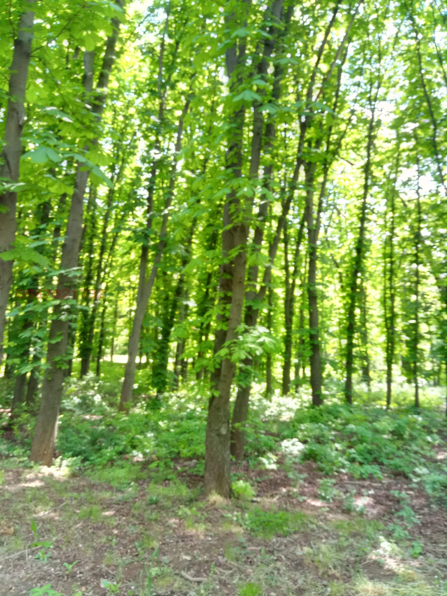 Продава ПАРЦЕЛ, гр. София, Княжево, снимка 11 - Парцели - 54486742