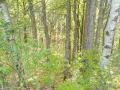 Продава ПАРЦЕЛ, гр. София, Княжево, снимка 12