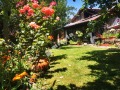Продава КЪЩА, област Велико Търново, с. Буковец • 61800 € • 87440119 — Holmes.bg