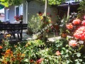 Продава КЪЩА, област Велико Търново, с. Буковец • 61800 € • 87440119 — Holmes.bg
