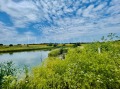Продава КЪЩА, област Велико Търново, гр. Павликени • 450000 € • 85337553 8