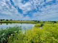 Продава КЪЩА, област Велико Търново, гр. Павликени • 450000 € • 85337553 6