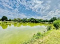 Продава КЪЩА, област Велико Търново, гр. Павликени • 450000 € • 85337553 3