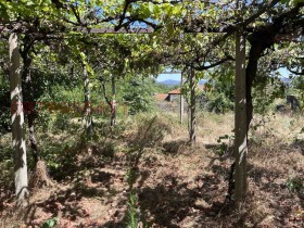 ������� ���� | Imot.bg � ����� ������ 4