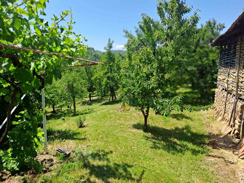 À venda  Casa região Kyustendil , Zgurovo , 87 m² | 49087264 - imagem [7]