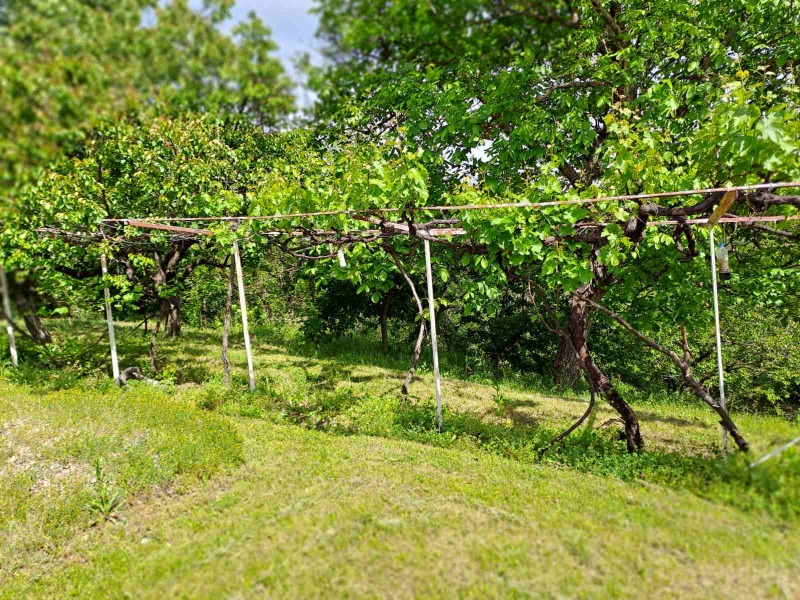 À venda  Casa região Kyustendil , Zgurovo , 87 m² | 49087264 - imagem [8]