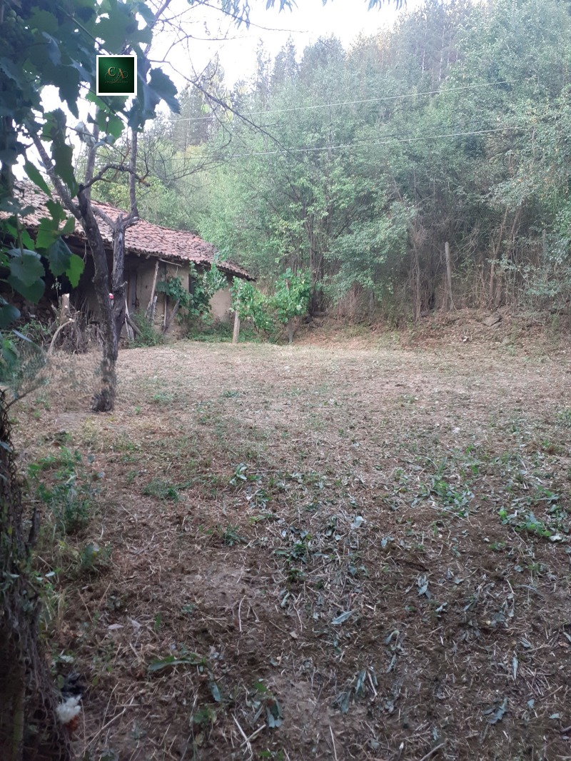 Продава КЪЩА, с. Невестино, област Кюстендил, снимка 14 - Къщи - 53465306