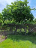 Продава КЪЩА, област Кюстендил, с. Згурово • 60000 лв. • 81031892 — Holmes.bg