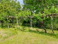 Продава КЪЩА, област Кюстендил, с. Згурово • 60000 лв. • 81031892 — Holmes.bg