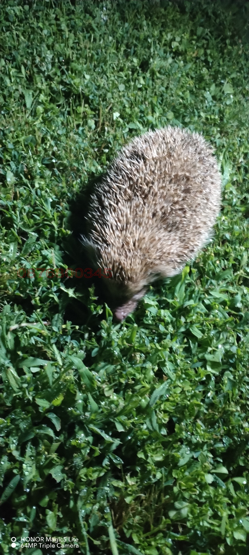 ������� ������ | Imot.bg � ����������� 16