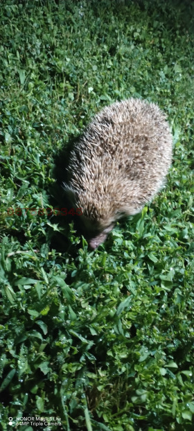 ������� ������ | Imot.bg � ����� ������ 16