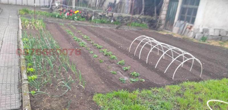 Продава КЪЩА, с. Бъта, област Пазарджик, снимка 11 - Къщи - 52871652