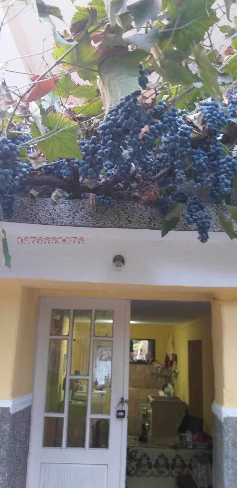 Продава КЪЩА, с. Бъта, област Пазарджик, снимка 15 - Къщи - 52871652