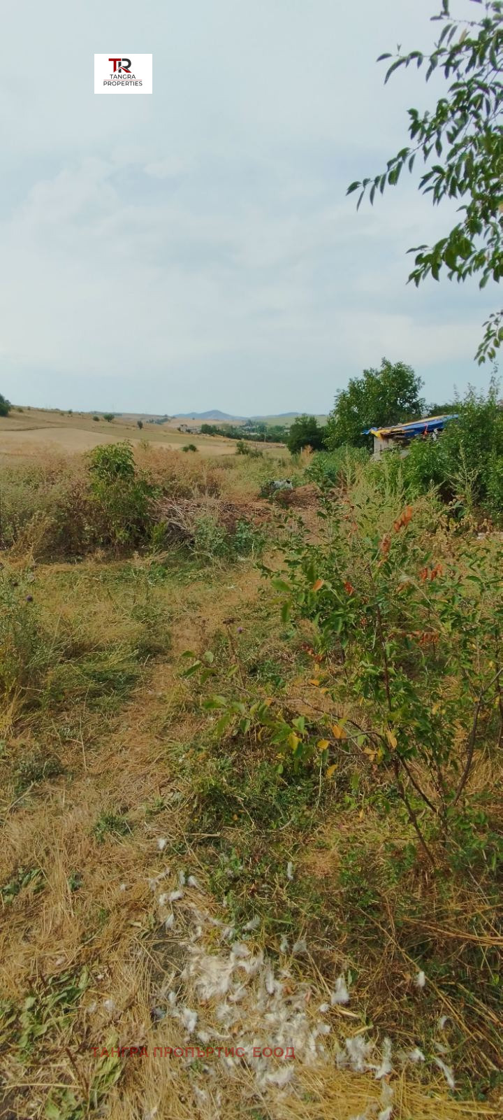 Προς πώληση  Οικόπεδο Περνηκ , Κοτσαρεβσκα μαχαλα , 580 τ.μ | 43717725 - εικόνα [4]