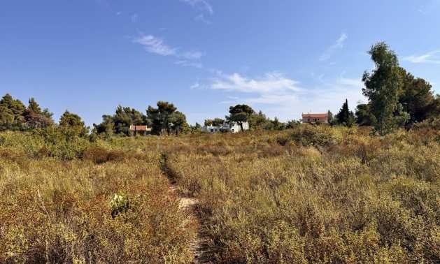 Продава ПАРЦЕЛ | Imot.bg — изображение 3