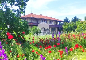 Casa Tsarichino, regione Dobrič 1