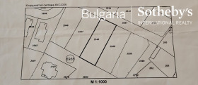 Juoni Bistritsa, Sofia