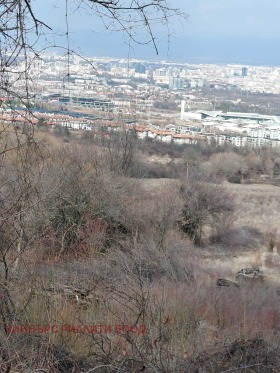 ����� ������� ������,���� �����, ���������