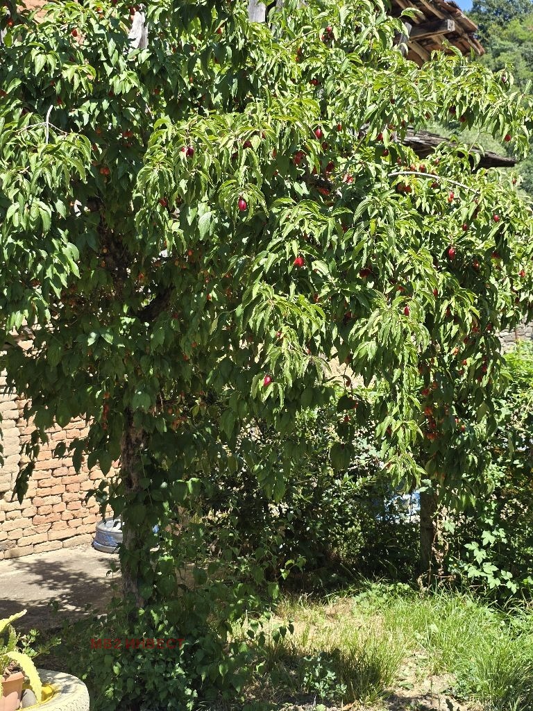 Na sprzedaż  Dom region Łowecz , Oreszak , 100 mkw | 29739895 - obraz [17]