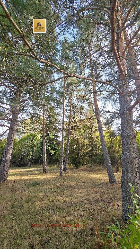 Продава КЪЩА, с. Негованци, област Перник, снимка 16 - Къщи - 56242617