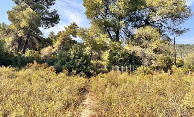 Продава ПАРЦЕЛ, Извън страната, област Извън страната, снимка 2 - Парцели - 51238853