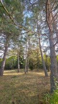 Продава КЪЩА, с. Негованци, област Перник, снимка 16