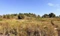 Продава ПАРЦЕЛ, Гърция, Халкидики • 1200000 € / 2346996.00 лв. • 53779541 1
